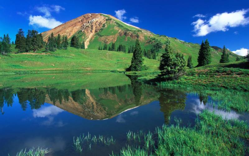 安全护航——多方发力推动汽车智能化良性发展